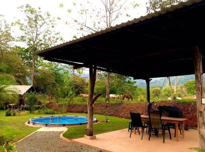 El Pulpo Safari Lodge Ojochal Exterior photo